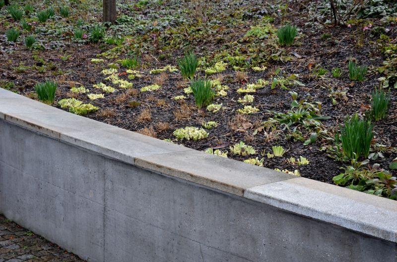 Concrete Borders and Retaining Walls